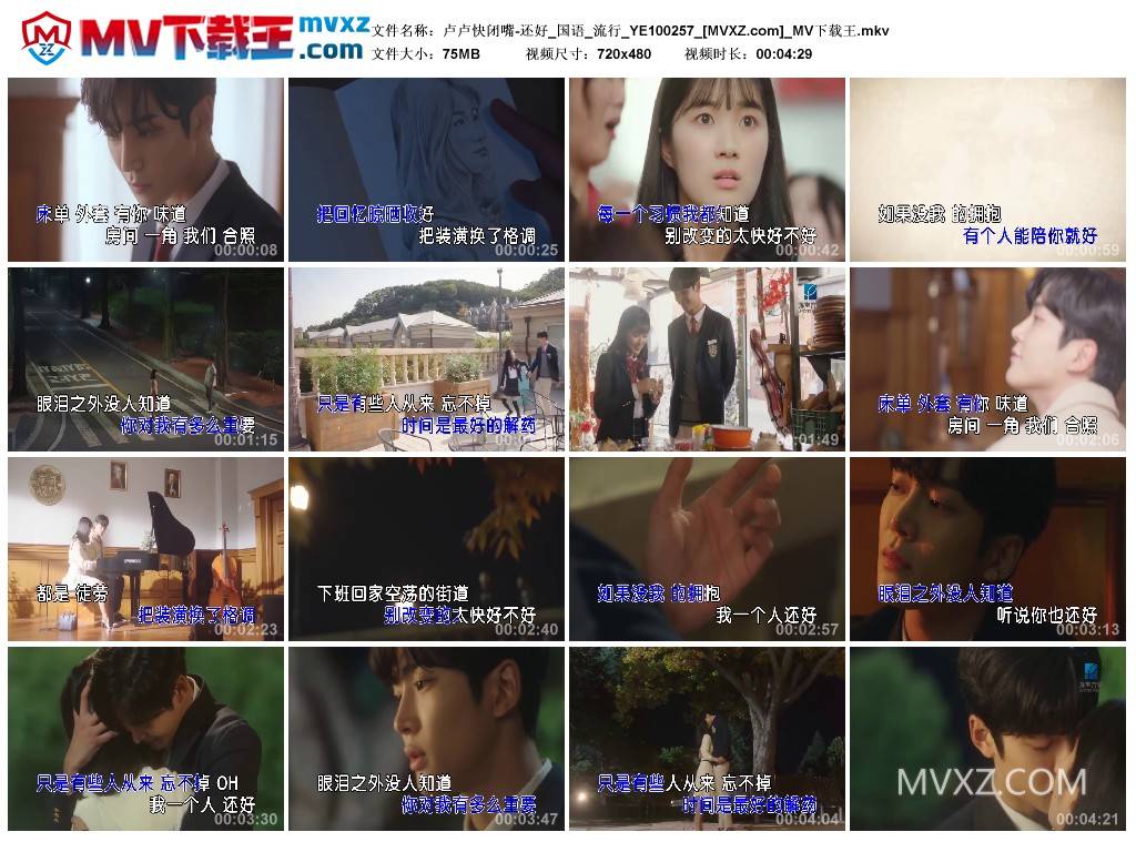 卢卢快闭嘴-还好_国语_流行_YE100257